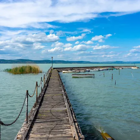 In 41940 아파트 발라톤엘