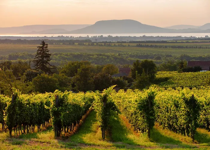 In 41940 아파트 발라톤엘